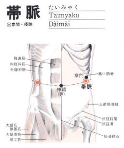 帶脈循行路線 帶脈循行路線