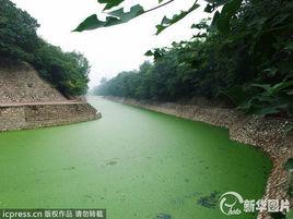 崇文門護城河 崇文門護城河