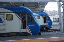 京滬十三豬 京滬十三豬