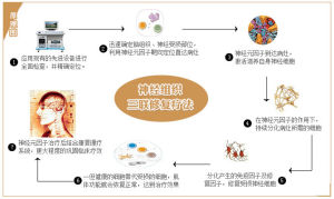 神經組織三聯修復療法 神經組織三聯修復療法