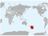 紅圓尾鸌分布圖