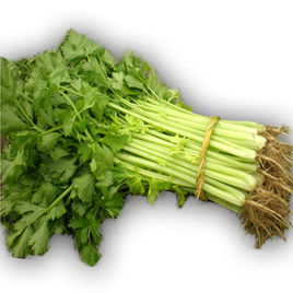 藥芹 藥芹