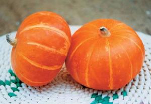 （圖）香糟米南瓜