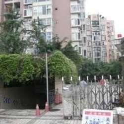 棕櫚花園 棕櫚花園