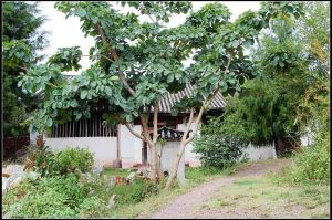 白馬廟二村 白馬廟二村