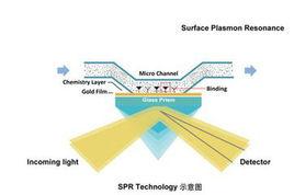 表面等離子共振 表面等離子共振