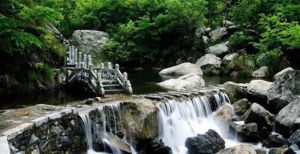 大崎山森林公園 大崎山森林公園