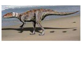 迪布勒伊洛龍 迪布勒伊洛龍