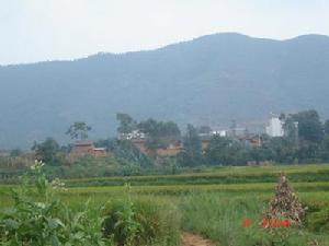 坡背後村 坡背後村