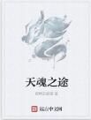天魂之途 天魂之途