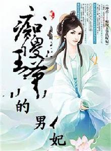 痴傻王爺的男妃 痴傻王爺的男妃