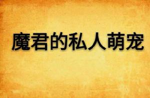 魔君的私人萌寵 魔君的私人萌寵