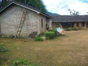 荒田自然村[雲南臨滄鎮康縣鳳尾鎮大柏樹村委荒田自然村]