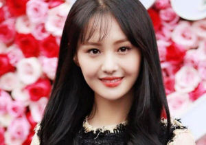 鄭爽[中國內地90後女演員]