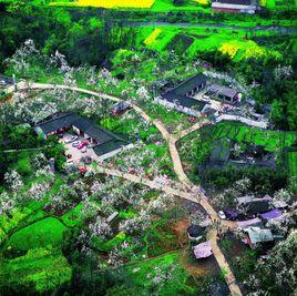 太湖平原 太湖平原