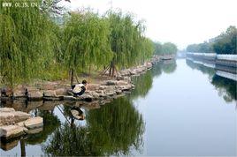柳洲公園 柳洲公園