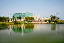 新江灣城街道 新江灣城街道