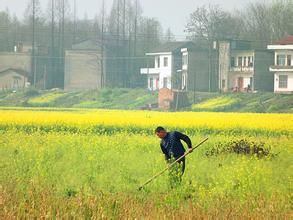 浪拔湖鄉 浪拔湖鄉