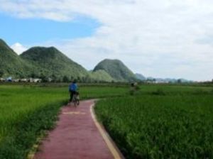 小河灣村 小河灣村