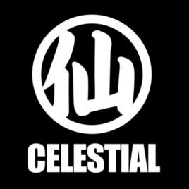 Celestial戰隊