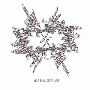 大環配體配合物 大環配體配合物