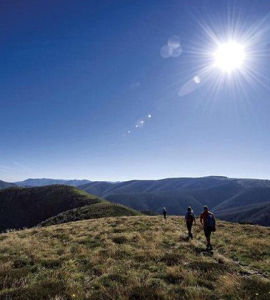 澳大利亞阿爾卑斯山脈 澳大利亞阿爾卑斯山脈