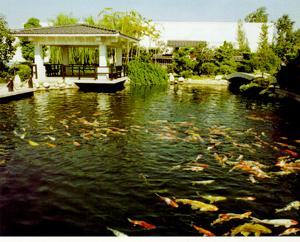 武漢新世界水族公園 武漢新世界水族公園