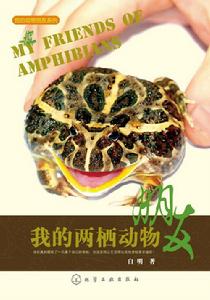 我的兩棲動物朋友 我的兩棲動物朋友