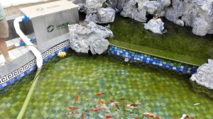 光納流適用範圍