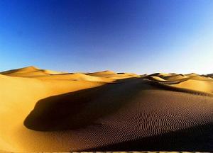 塔克拉瑪乾沙漠腹地