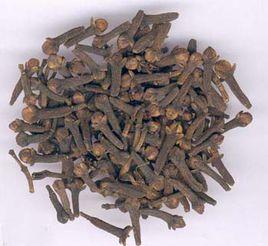 丁香[公丁香異名]