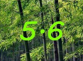 56物流節 56物流節