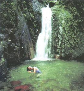 五華縣七目嶂自然保護區