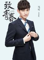 致青春[2016年楊文軍執導電視劇]