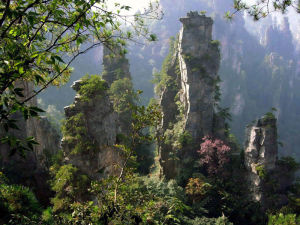 五指山大峽谷 五指山大峽谷