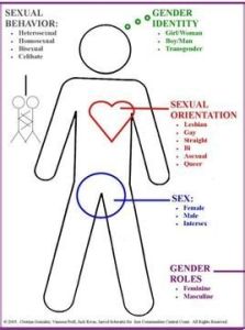 性取向障礙 性取向障礙