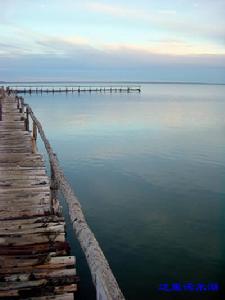 內蒙古達來諾爾國家級自然保護區