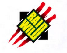 Team. Raid Wild