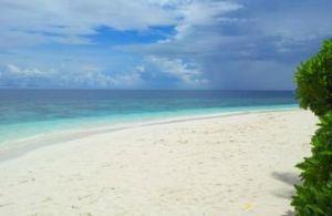 鑽石泰達富士島度假村 鑽石泰達富士島度假村