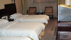 大同九龍假日酒店 大同九龍假日酒店