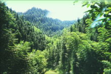 長田山森林公園