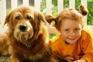 寵物健康 寵物健康