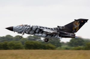 老虎塗裝的“狂風”戰機。