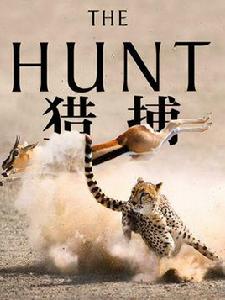 獵捕[2015年由冰凍星球打造的自然類紀錄片]
