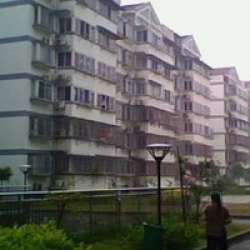 新光花園 新光花園