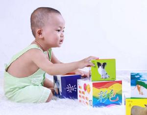 益智玩教具 益智玩教具