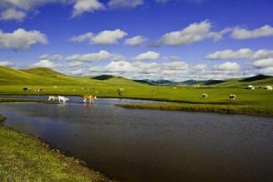 貢格爾草原 貢格爾草原