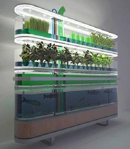 飛利浦廚房生態農場，蔬菜、草、草藥、魚蝦、水草和藻類等組成了一個生態圈