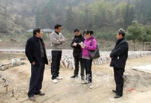 桃紅村[湖北省崇陽縣天城鎮桃紅村]