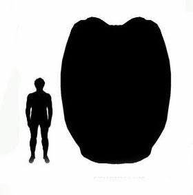 Stupendemys geographicus